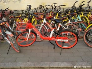 摩拜加快共享單車投放 新型車已經(jīng)在北京推出