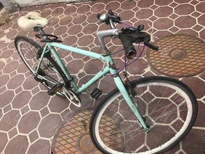 大林附近面交 公路自行車(chē)超低價(jià)轉(zhuǎn)讓